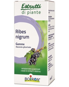 BO.RIBES NIGRUM 60ML INT