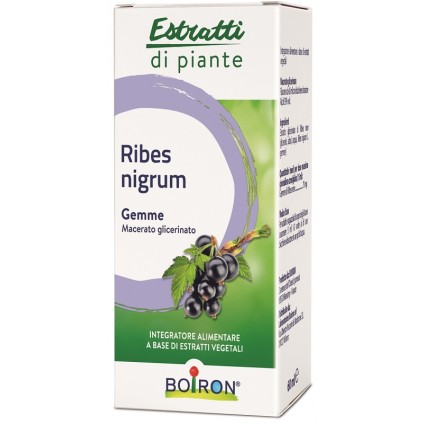 BO.RIBES NIGRUM 60ML INT