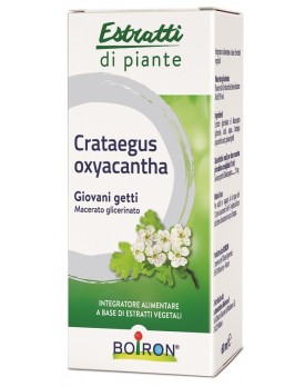 BO.CRATAEGUS OX.1DH MG  60ml