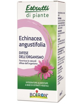 BO.ECHINACEA ANG.ES I 60ml