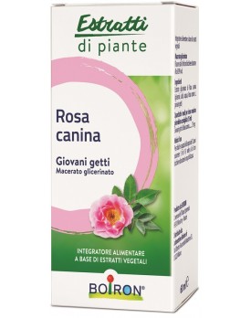 BO.ROSA CANINA MG I 60ml