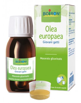 BO.OLEA EUROPEA MG 60ml