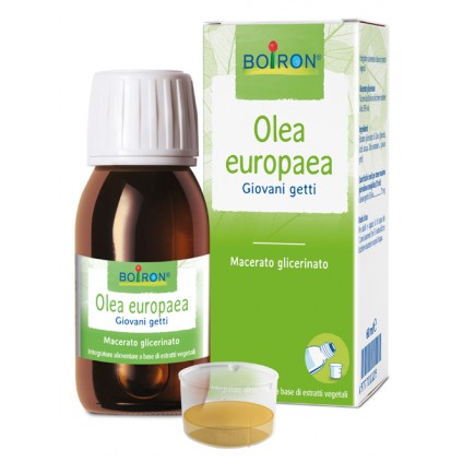 BO.OLEA EUROPEA MG 60ml