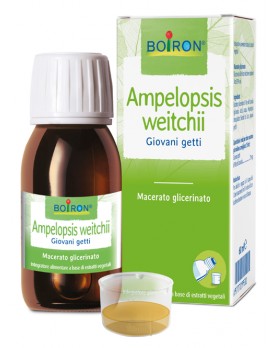 BO.AMPELOPSIS WEI MG I 60ml