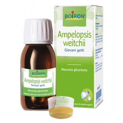 BO.AMPELOPSIS WEI MG I 60ml