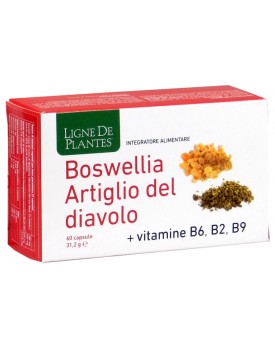 BOSWELLIA Art.Diavolo 60CpsNSE