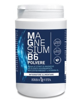 MAGNESIUM B6 Polv.200g     EBV