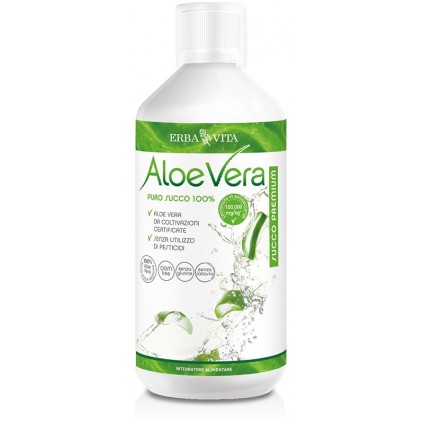 ALOE VERA Succo 100%1Lt    EBV