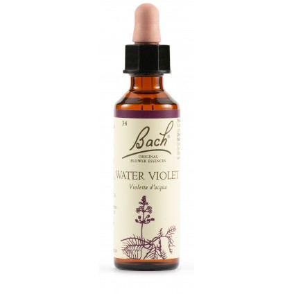 BACH 34 Water Violet 20ml LKR