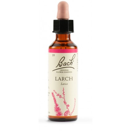 BACH 19 Larch Gtt 20ml