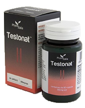 TESTONAT 60 Cps