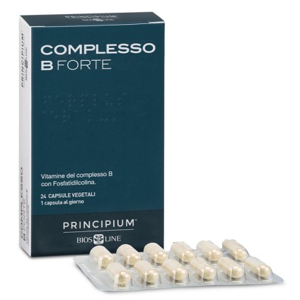 PRINCIPIUM Compl.B Fte 24 Cps. PRINCIPIUM Compl.B Fte 24 Cps.