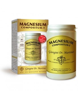 MAGNESIUM Comp-T 400Past.500mg