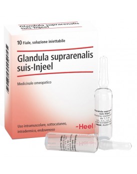 GLANDULA SUP.SUIS INJ 10f.HEEL