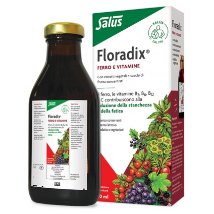 FLORADIX Integr.Ferro 500ml