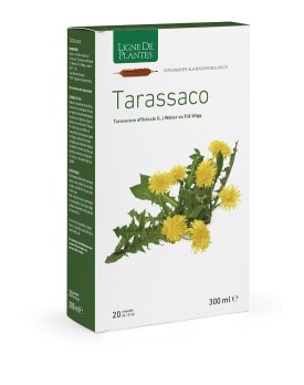 TARASSACO BIO 20ABl 15ml