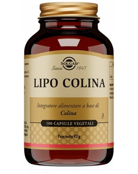 LIPO COLINA 100 Cps 100mgSOLGA