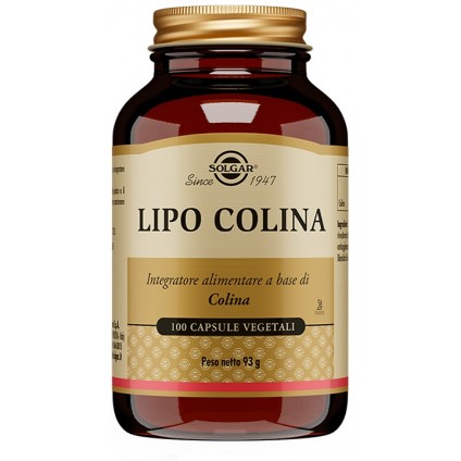 LIPO COLINA 100 Cps 100mgSOLGA