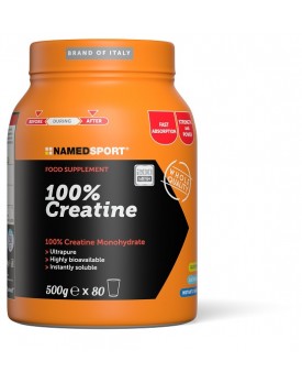 CREATINA 100% 500g NAMED