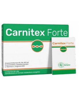 CARNITEX Forte*14 Bust.