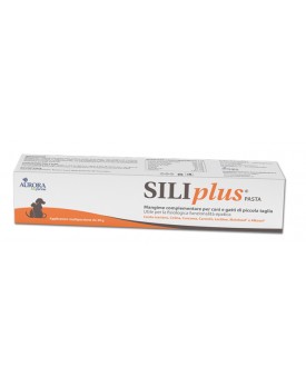 SILIPLUS Pasta 30g