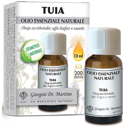 THUJA Olio Ess.10ml SVS