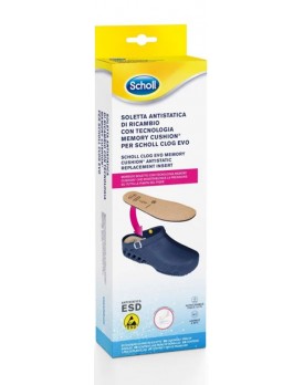 CLOG EVO Soletta A-Static35/36