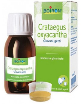 CRATAEGUS OXYACANTHA 60ML TM