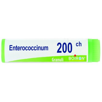 BO.ENTEROCOCCINUM Dose 200CH