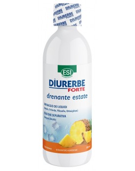 DIURERBE Fte Dren Ananas 500ml