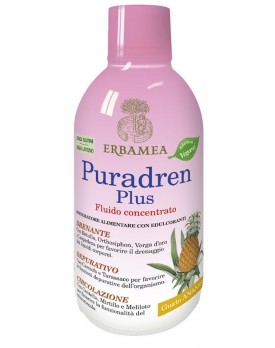 PURADREN Plus Ananas 500ml