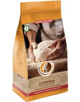 RICCIONE Farina Piadina 1KG