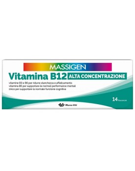 MASSIGEN DailyVit+B12 14Fl.8ml