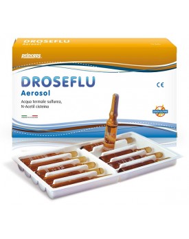 DROSEFLU Aerosol 10f.2ml