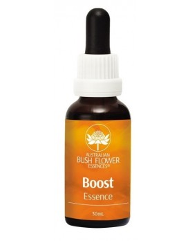 BOOST 30ml NATUR