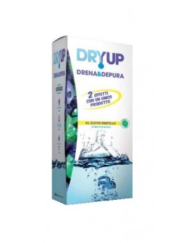 DRYUP Mirtillo 300ml