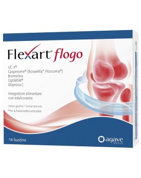 FLEXART Flogo 14*Bust.