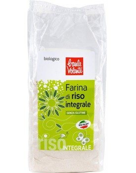 FdL Farina Int.Riso Bio 375g