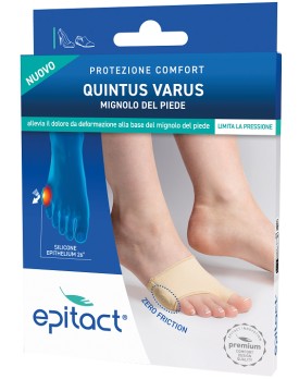 EPITACT Prot.Quintus Varus L