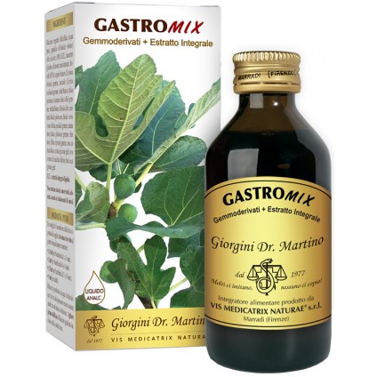 GASTROMIX Liq.Analc.100ml