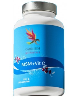 CARNIUM BOT MSM+VIT C 90 Cps