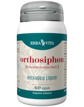 ORTHOSIPHON 60 Cps 450mg   EBV