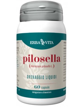 PILOSELLA 60 Cps 350mg     EBV