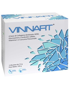 VINNART 14Bust.