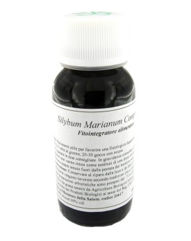 LVS 03N Silybum Marianum Comp.