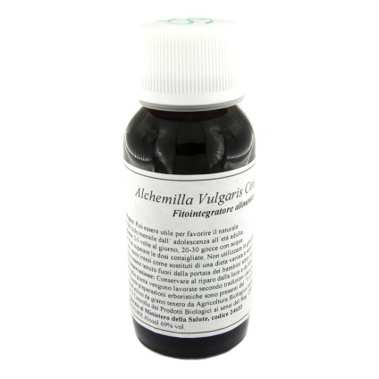 LVS 19N Alchemilla Vulg.Comp.