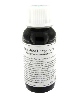 LVS 38N Salix Alba Comp.