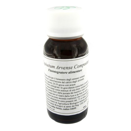 LVS 41N Equisetum Arv.Comp.