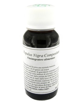 LVS 43N Populus Nigra Comp.