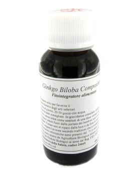 LVS 62S Ginkgo Biloba Comp.